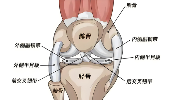 微信图片_20250411084456.png