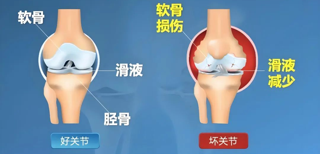 微信图片_20250411084450.png